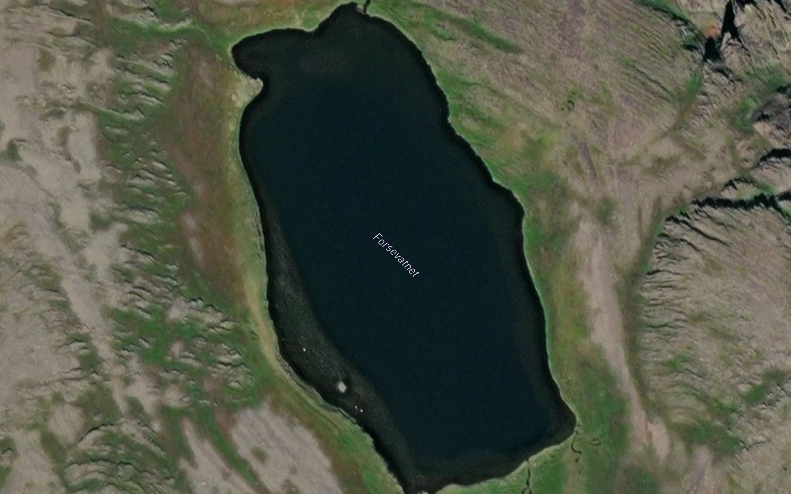 Forsevatnet