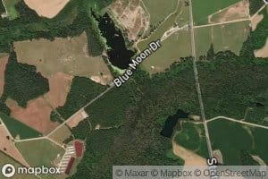 Persimmon Swamp