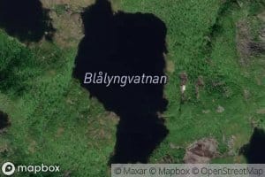 Blalyngvatnan