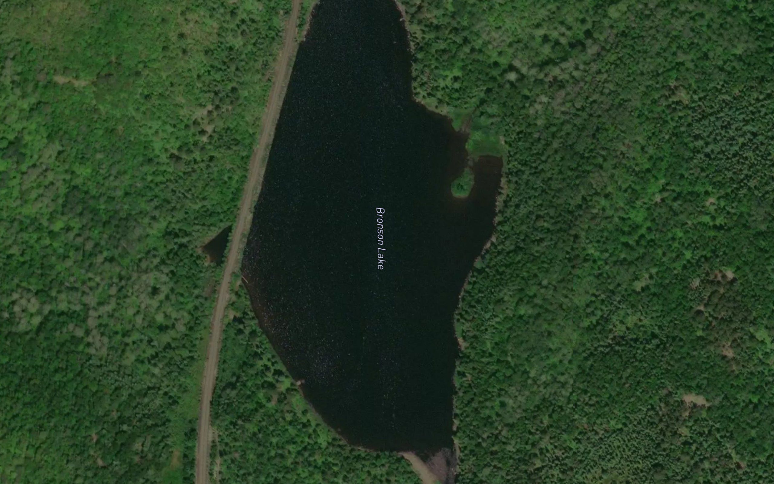 Bronson Lake
