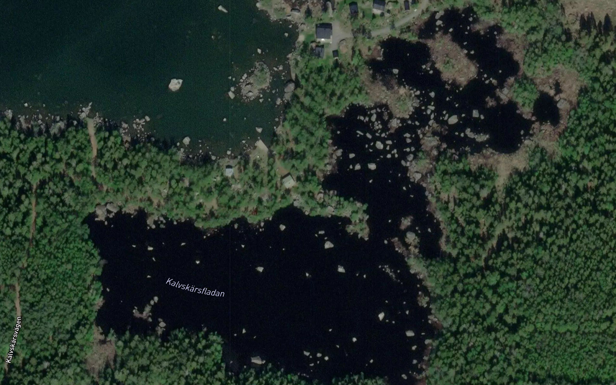 Kalvskarsfladan