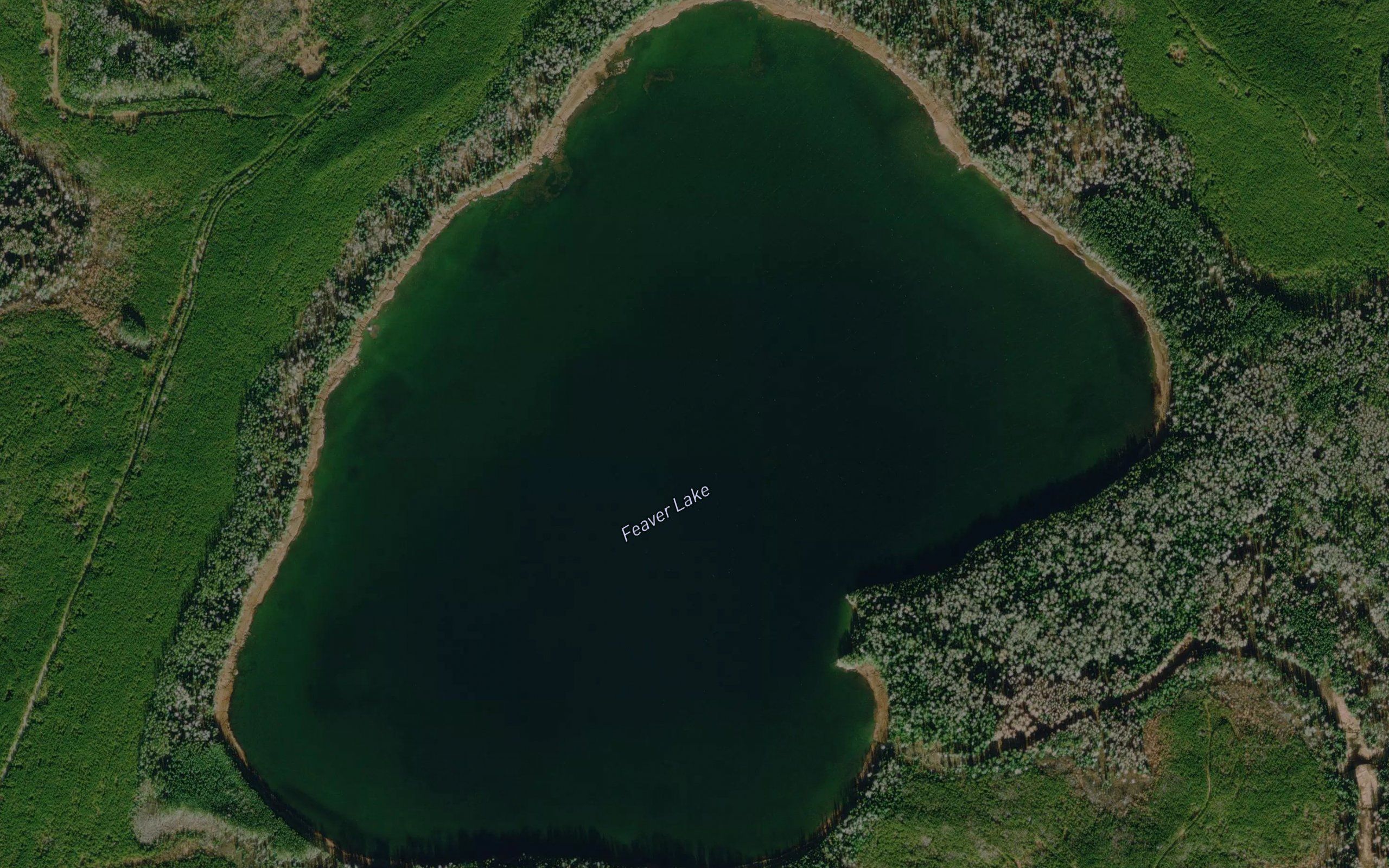 Feaver Lake