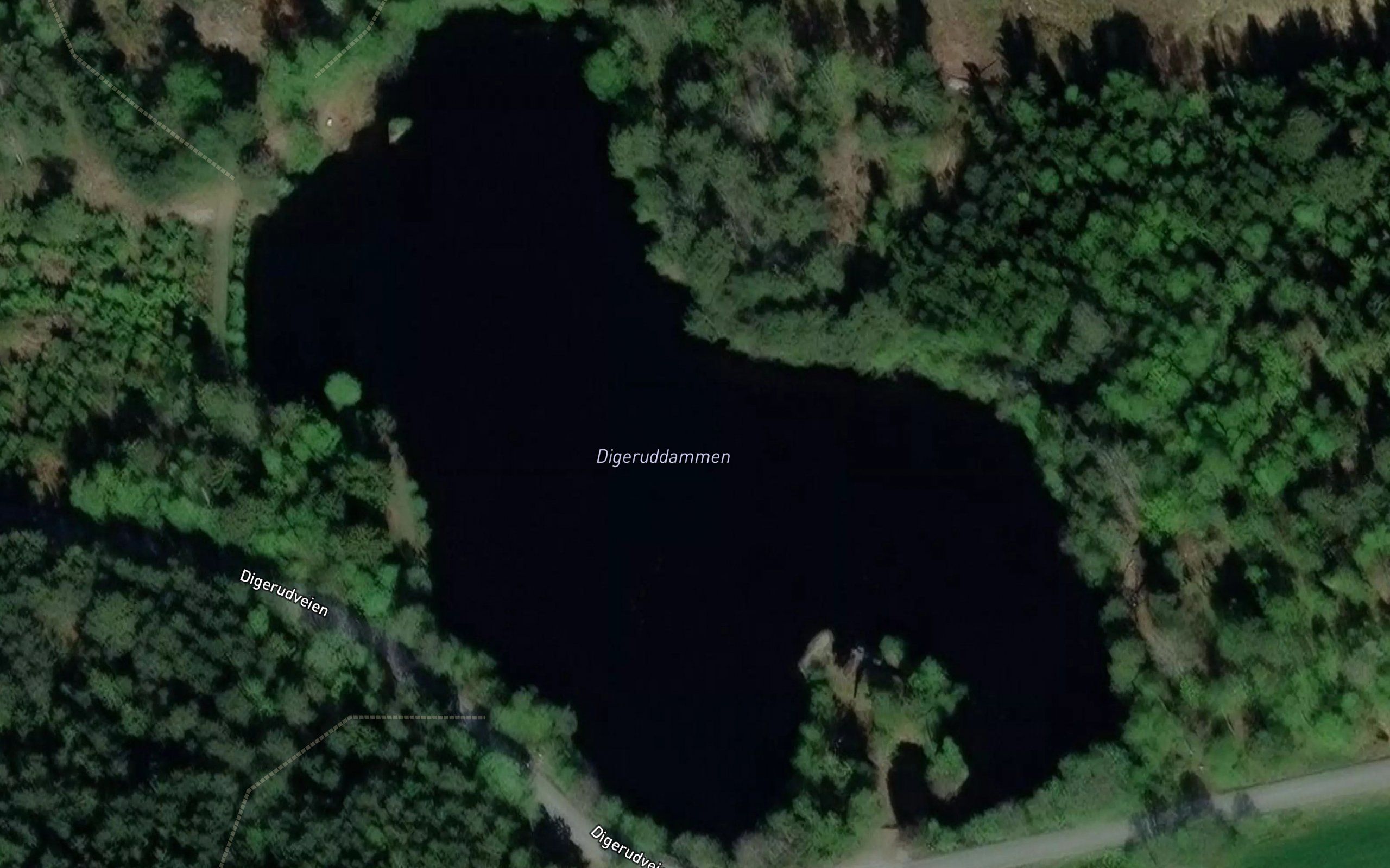 Digeruddammen