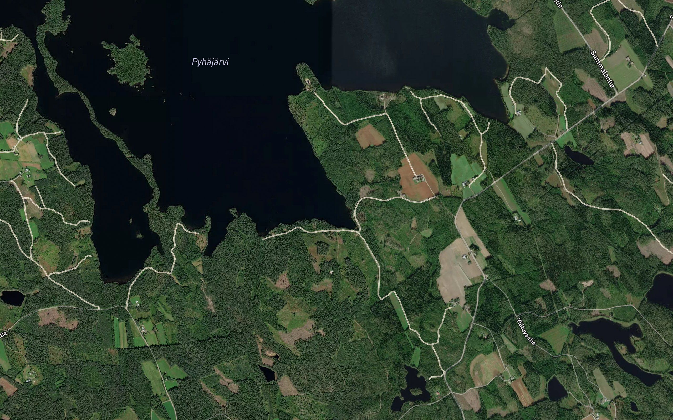 Tarkialanlahti