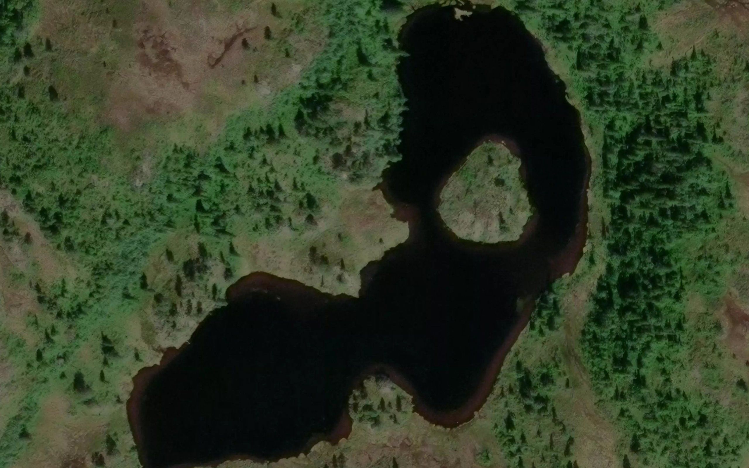 Hammarholtjorna