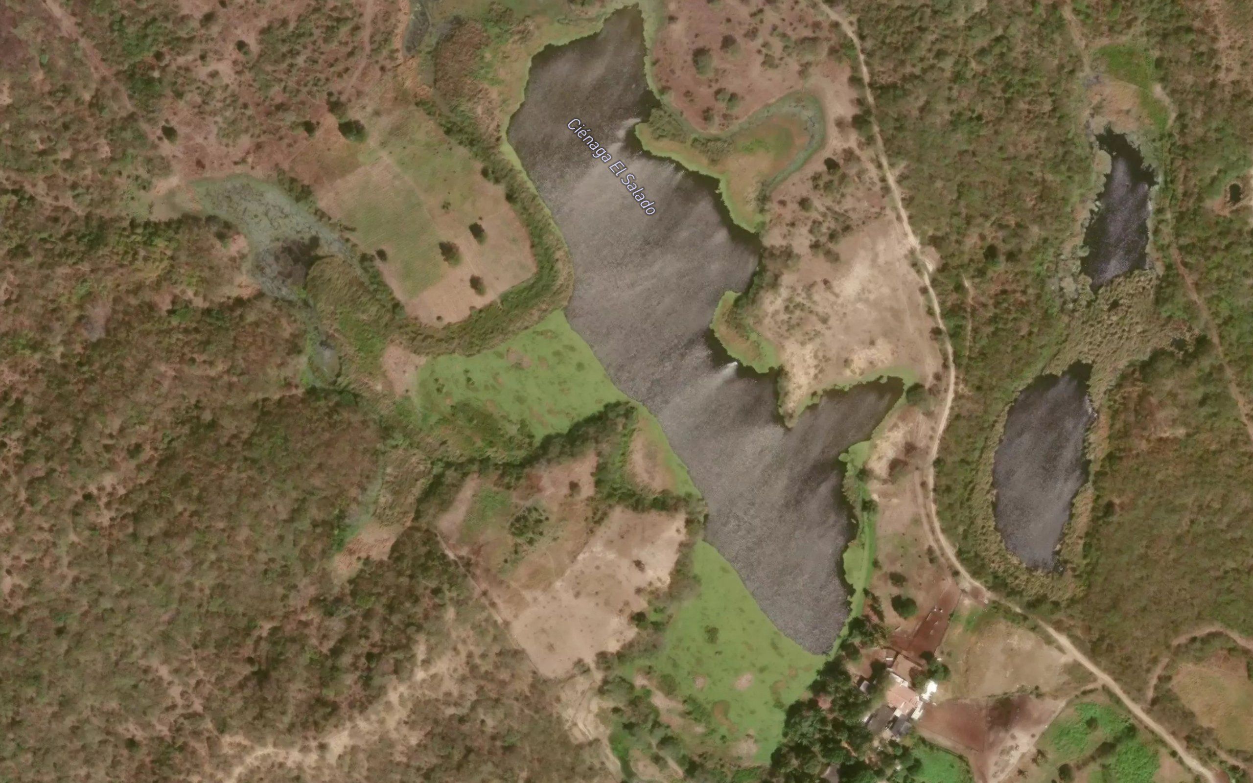 Cienaga El Salado
