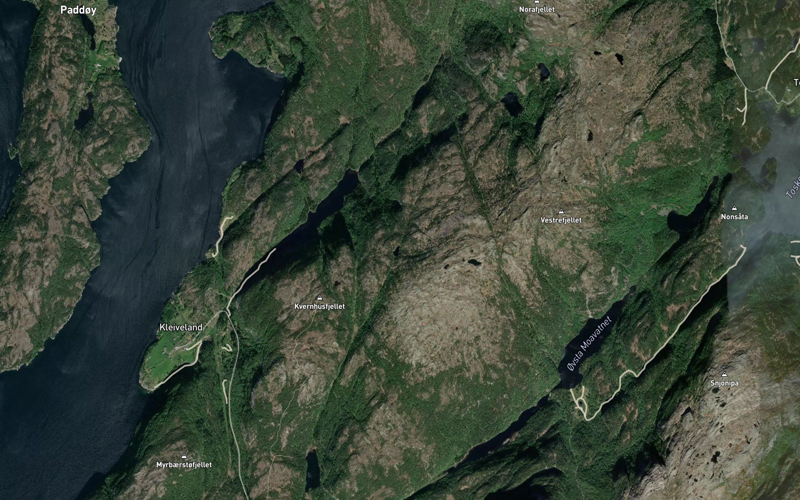 Grasdalstjorni