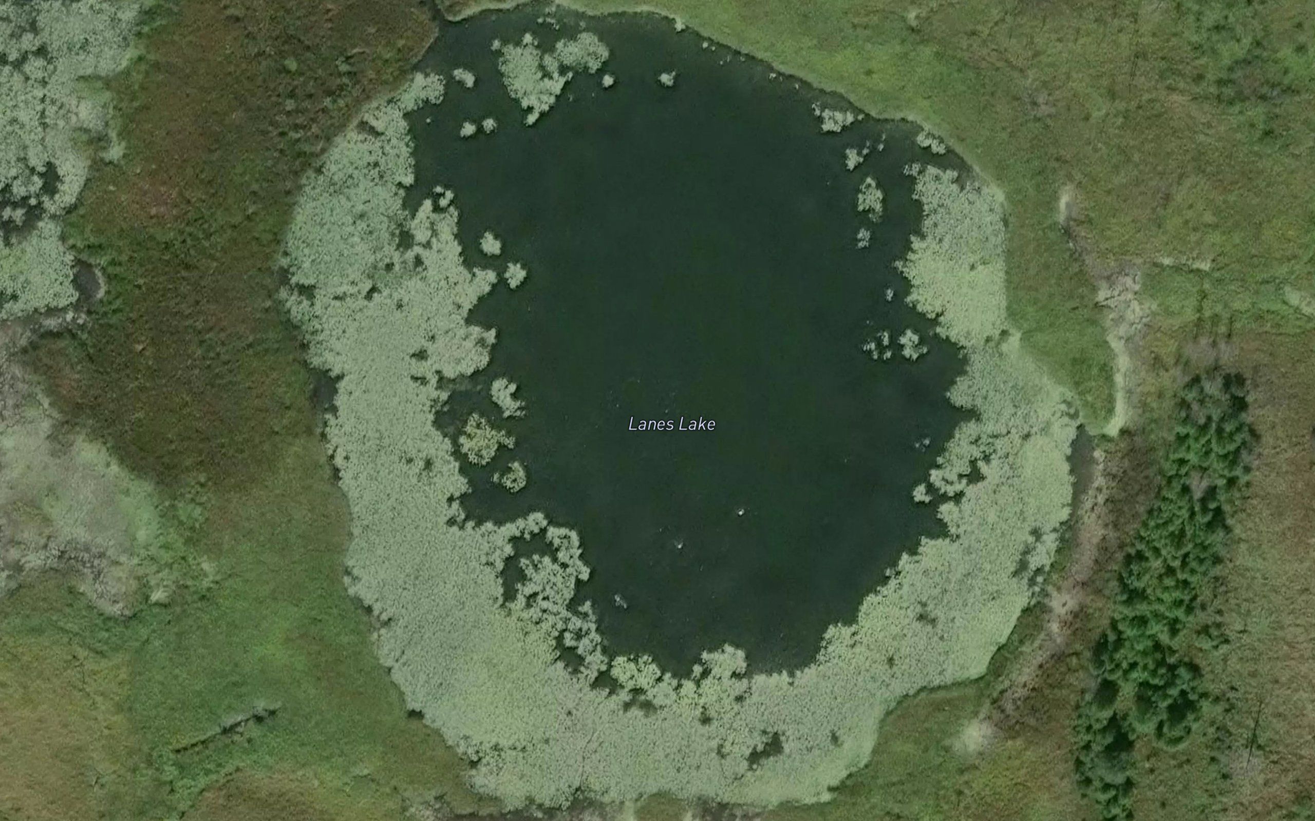 Lanes Lake