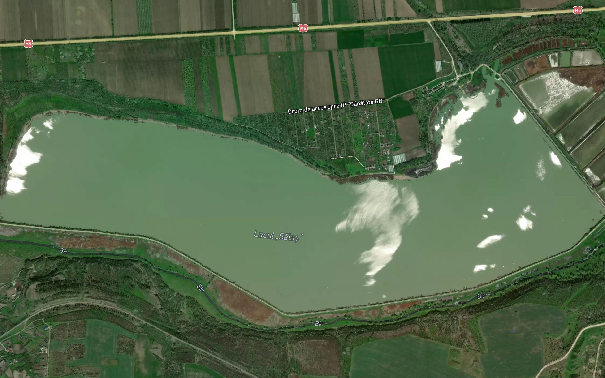 Lacul Salas