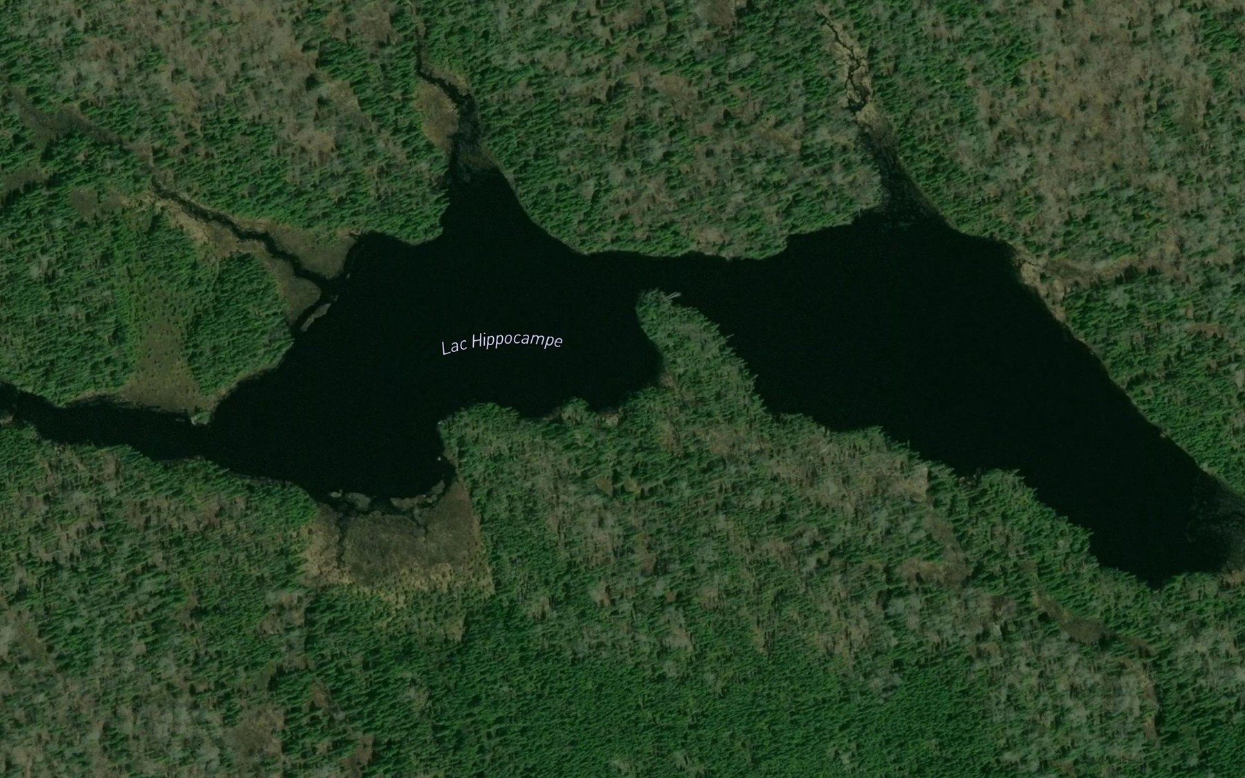 Satellite map of the Lac Hippocampe