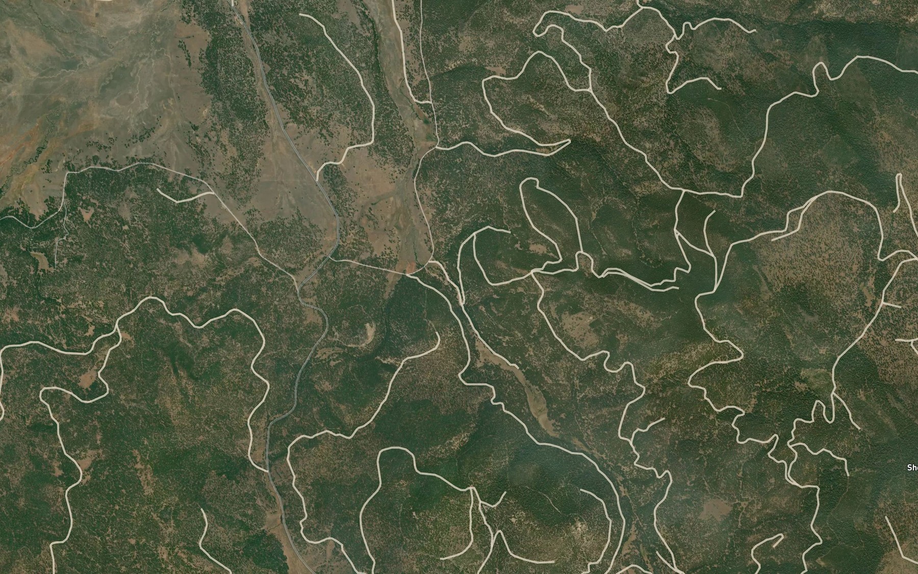 Satellite map of the Shoestring Spring