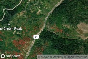 White Pine Fork