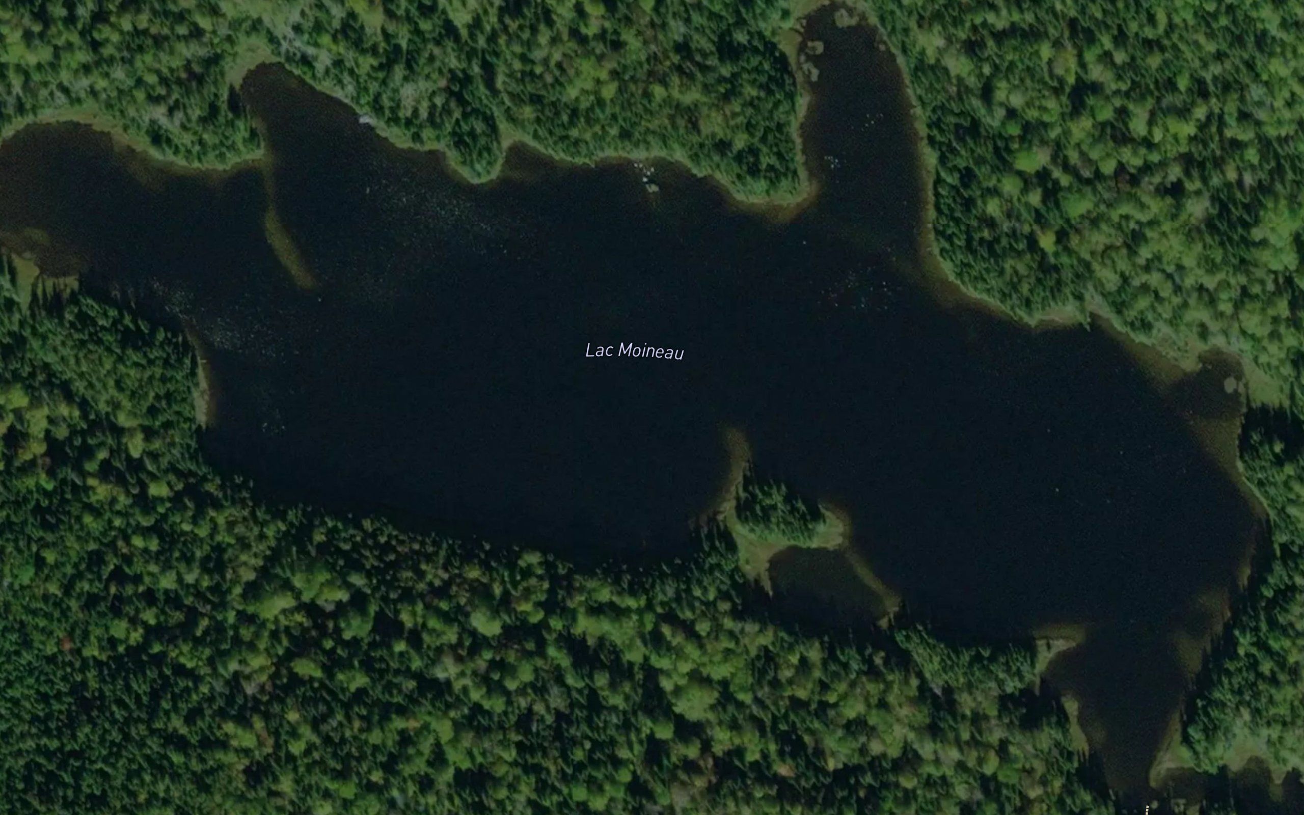 Lac Moineau