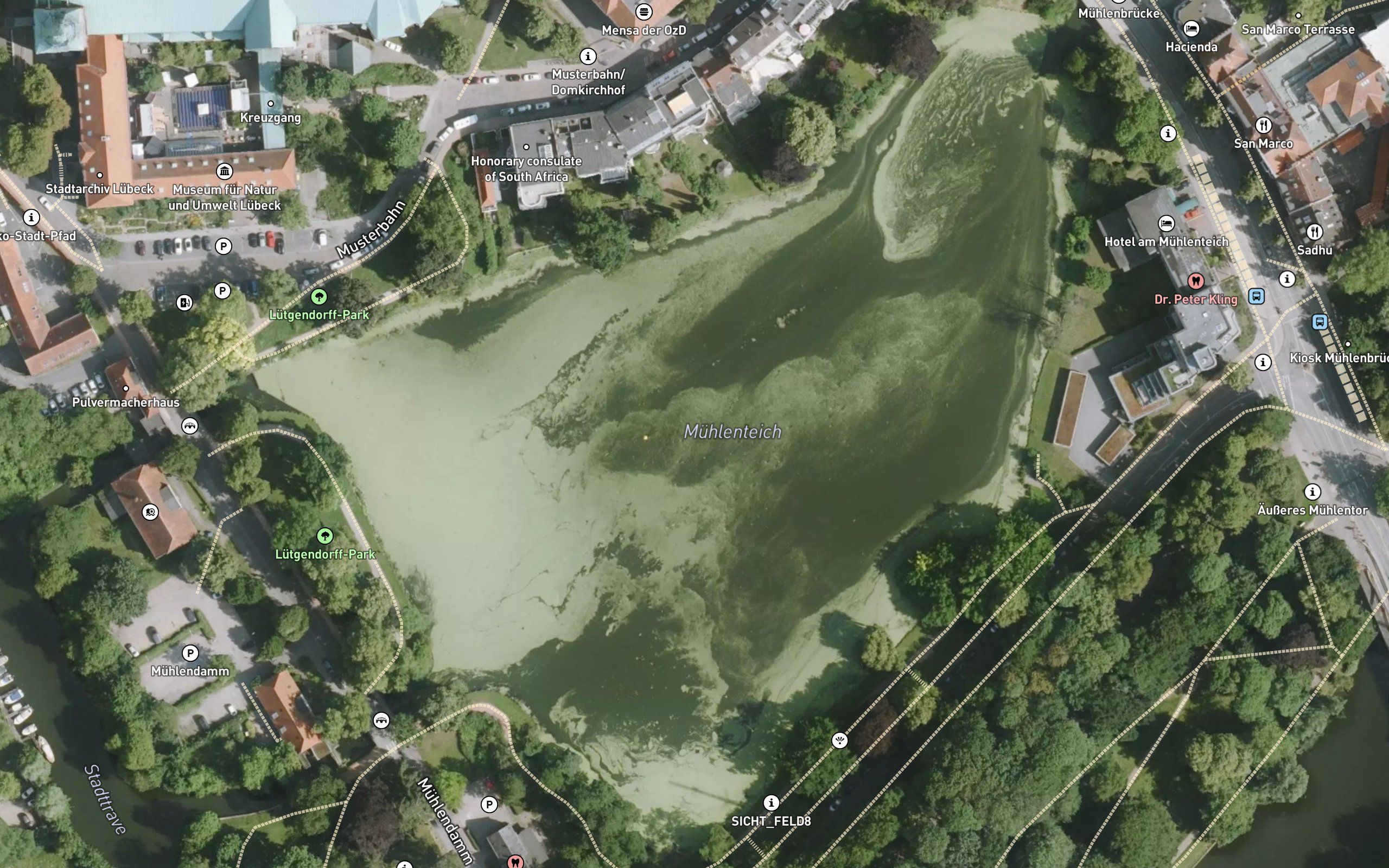 Muehlenteich