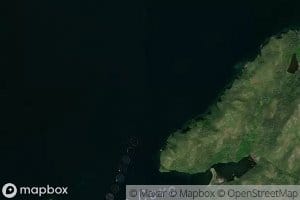 Olive Cove
