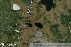 Haukilammit