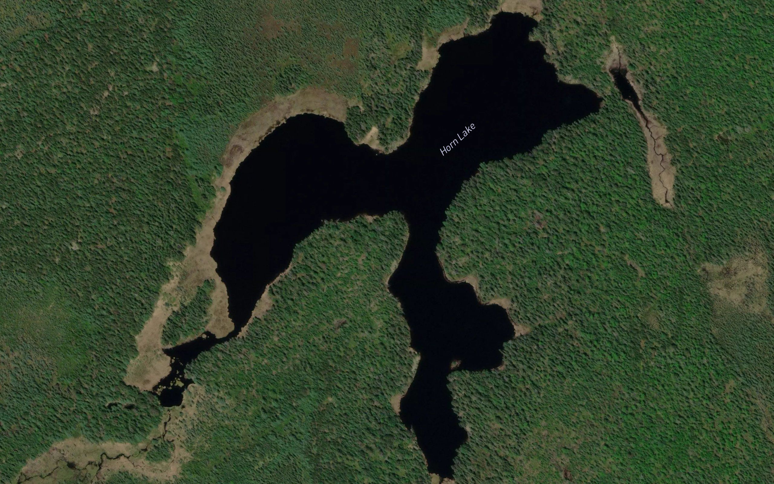 Horn Lake