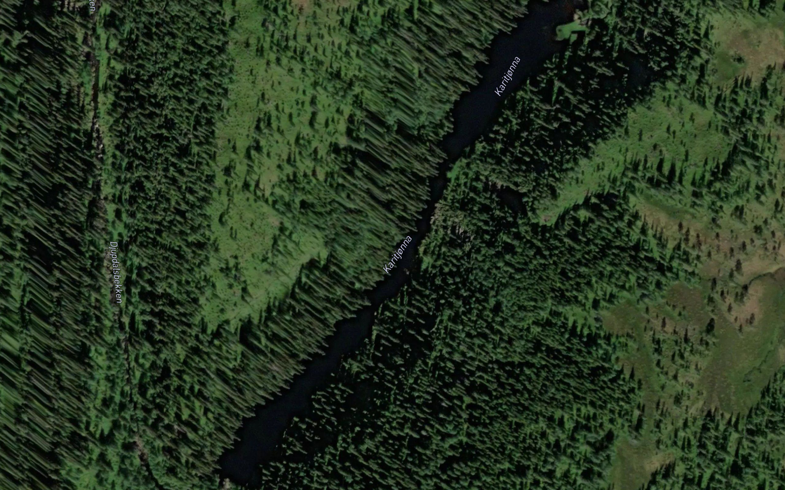 Karitjorna