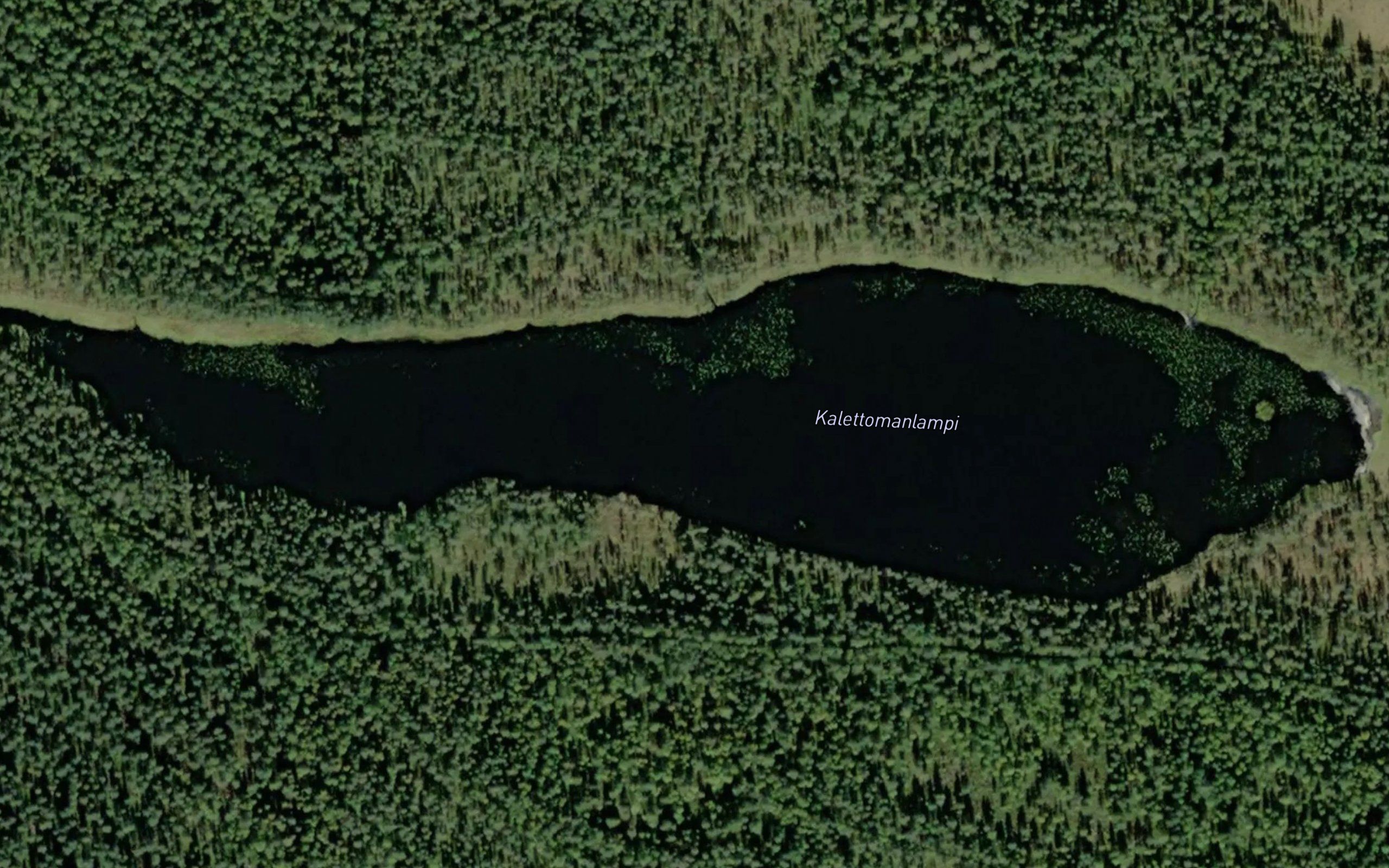 Kalettomanlampi