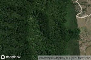 Te Whata Manawanui Stream