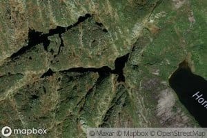 Langtjorn
