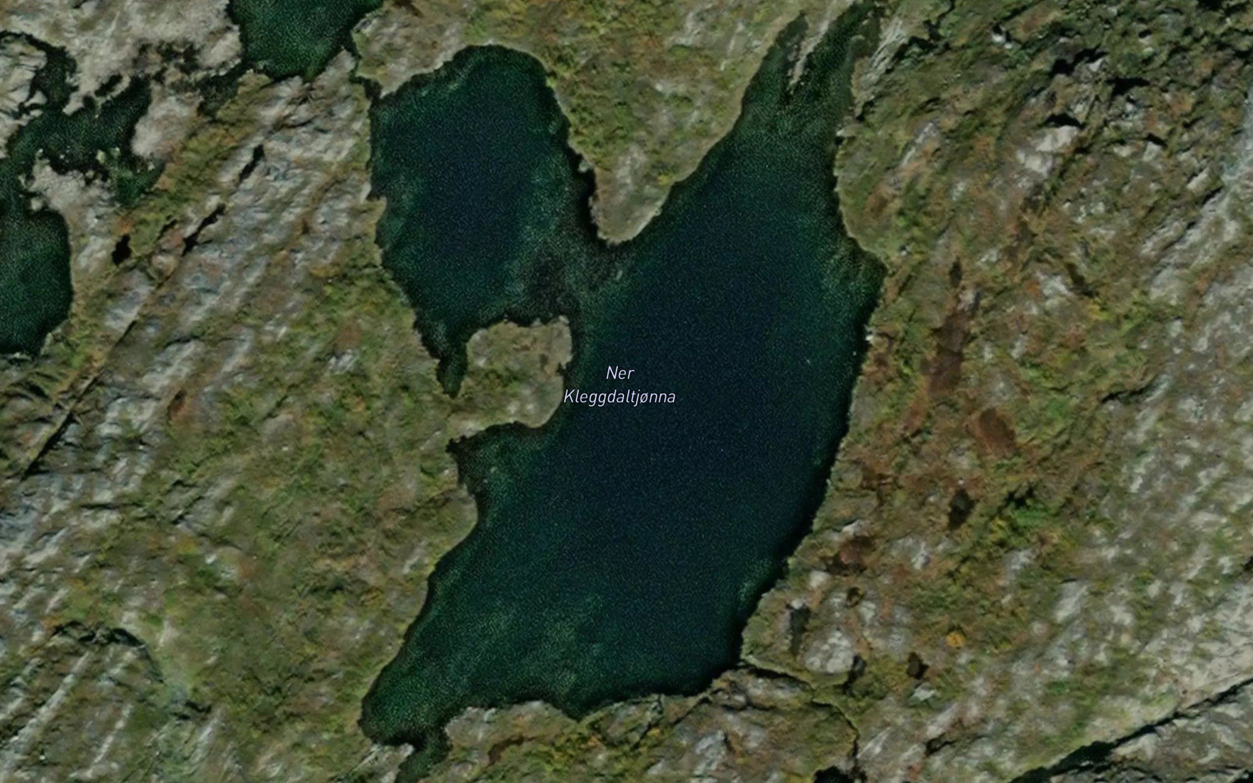 Ner Kleggdaltjonna