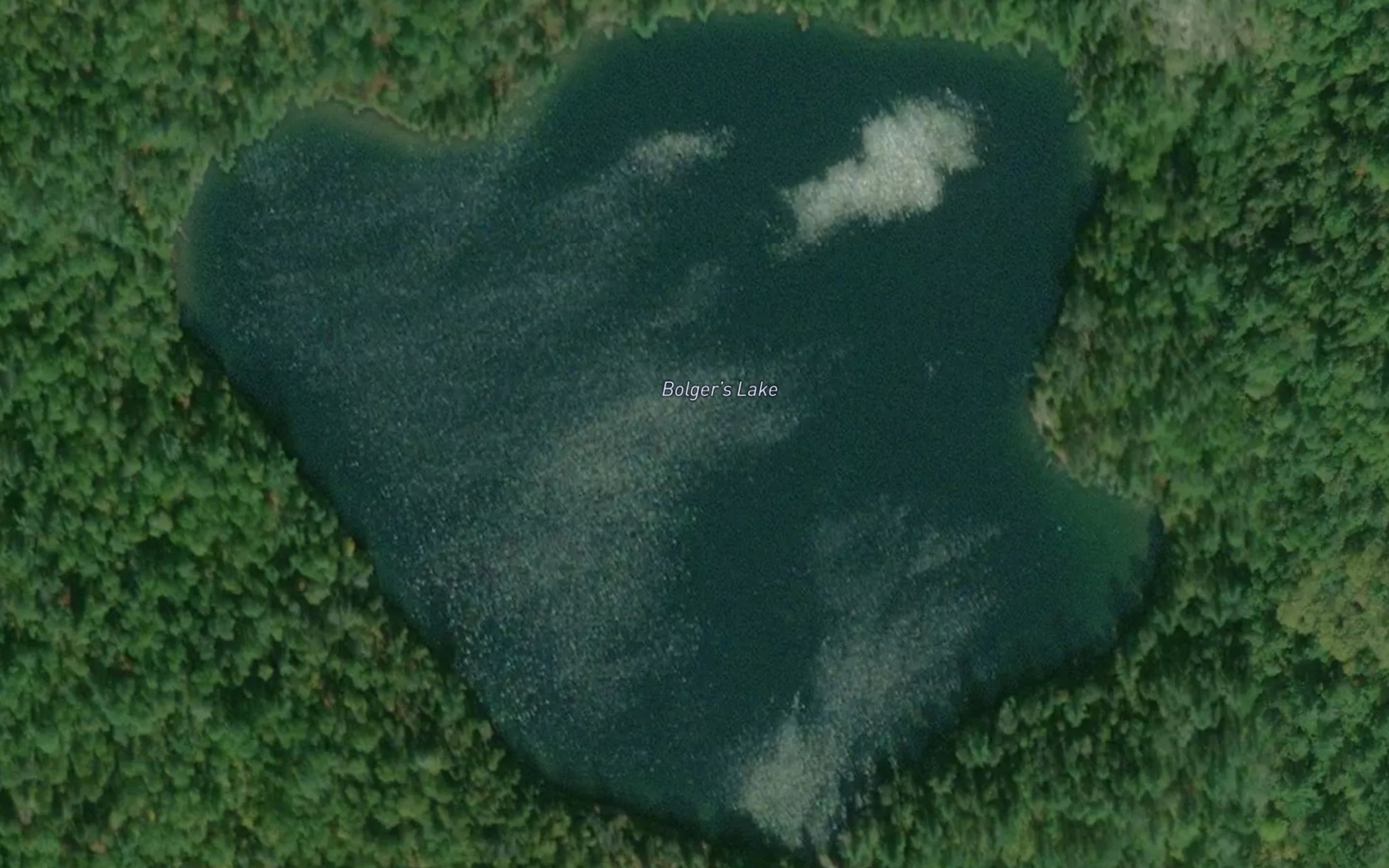 Satellite map of the Bolger's Lake