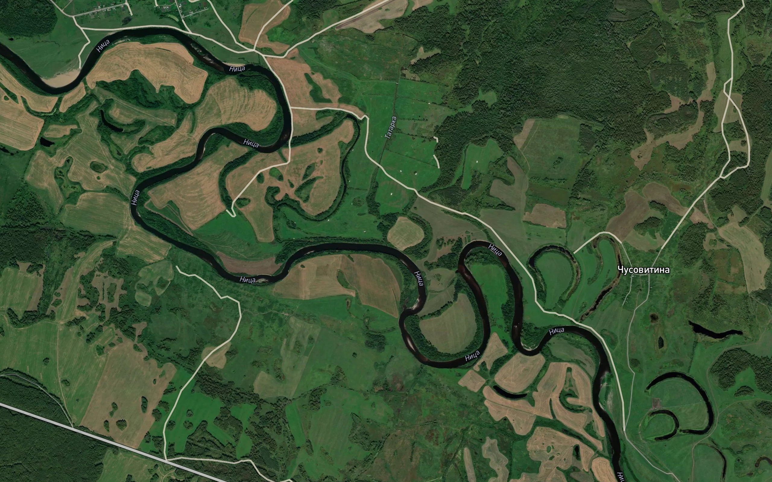 Tatarka