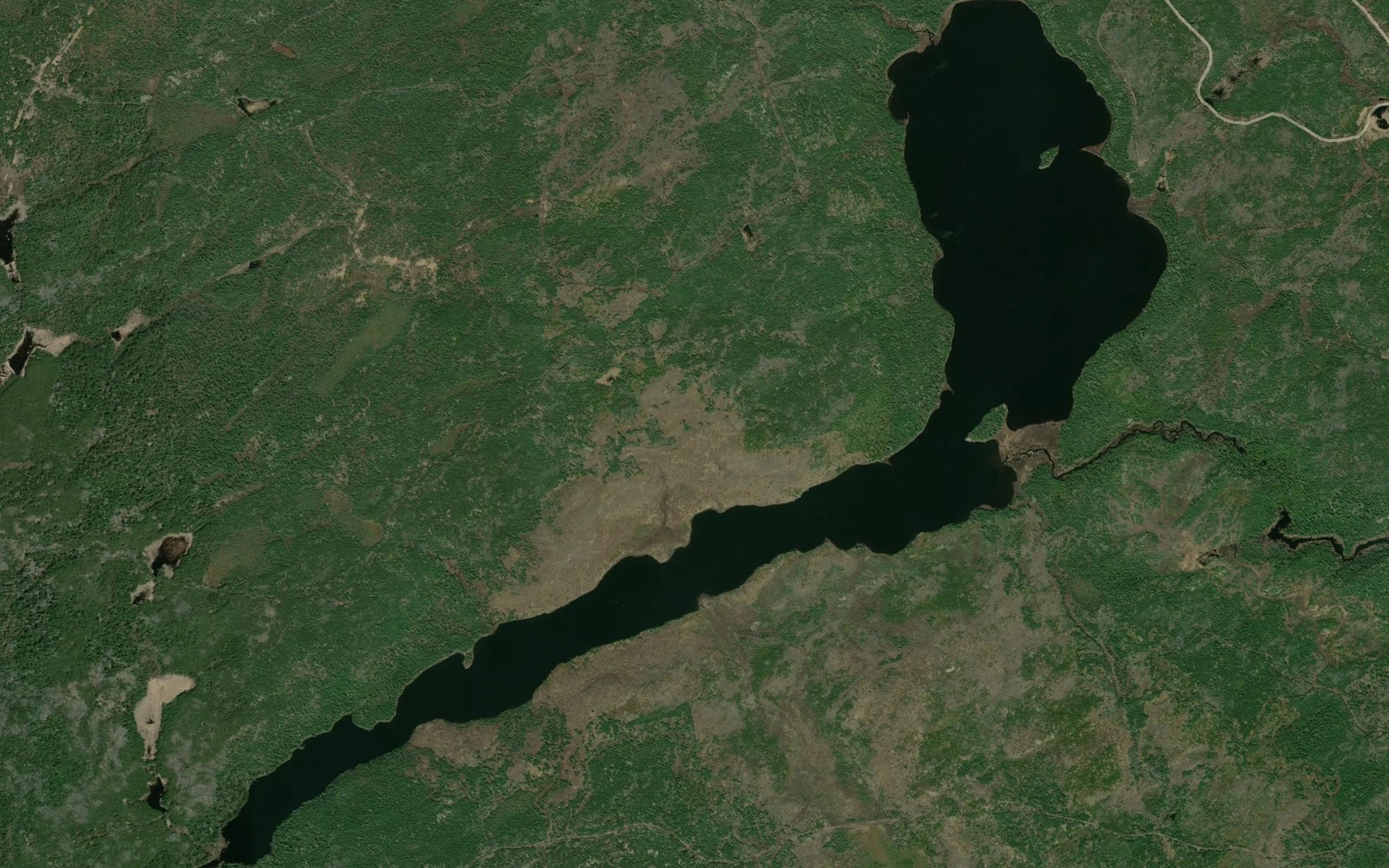 Satellite map of the Macauley Lake