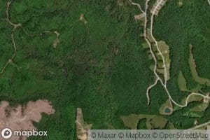 Miller Spring Branch