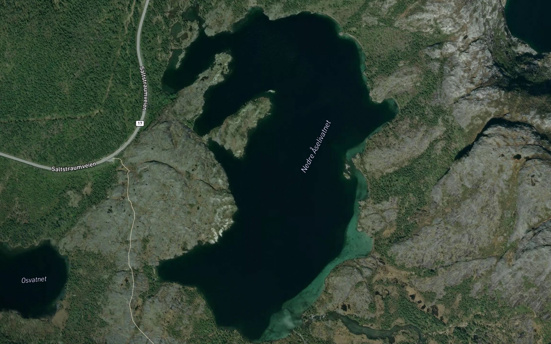 Satellite map of the Aselivatnet,nedre