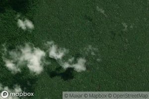 Igarape Solimoesinho