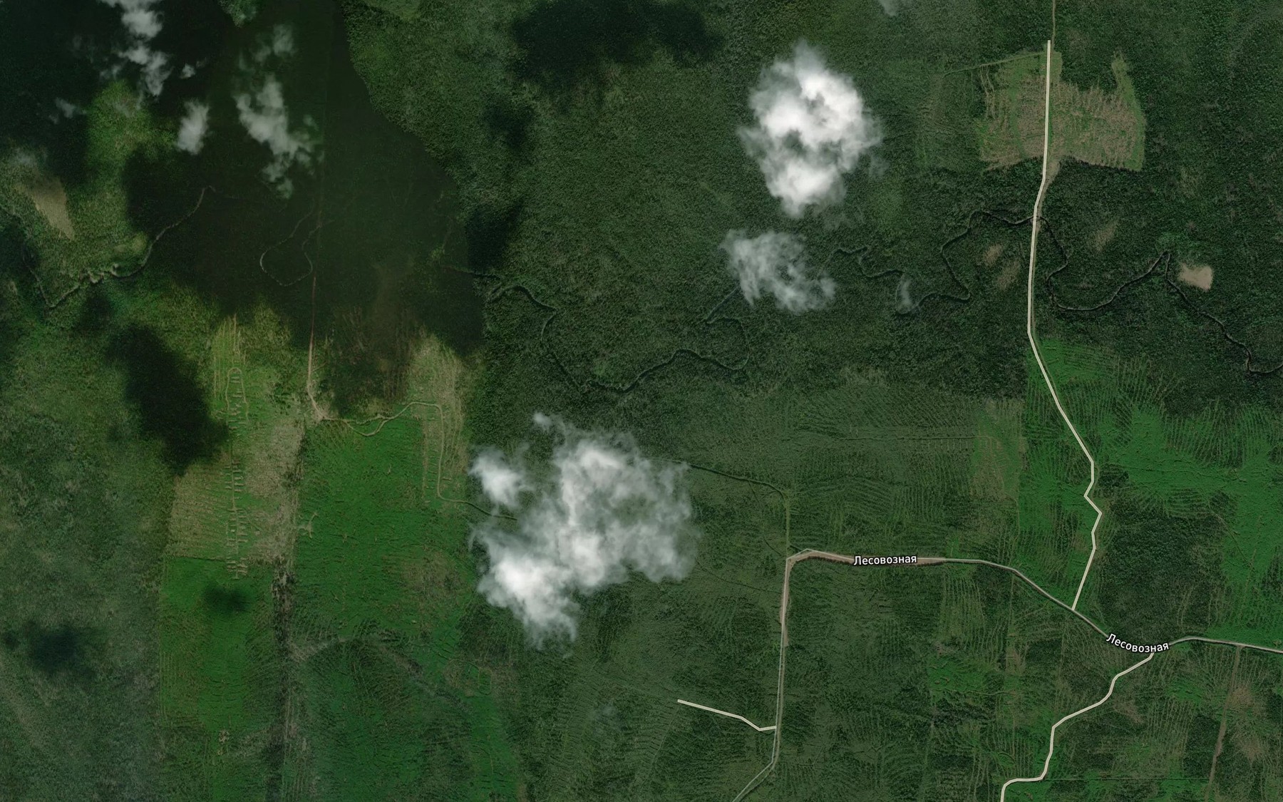 Satellite map of the Vylys-Koz"yel'