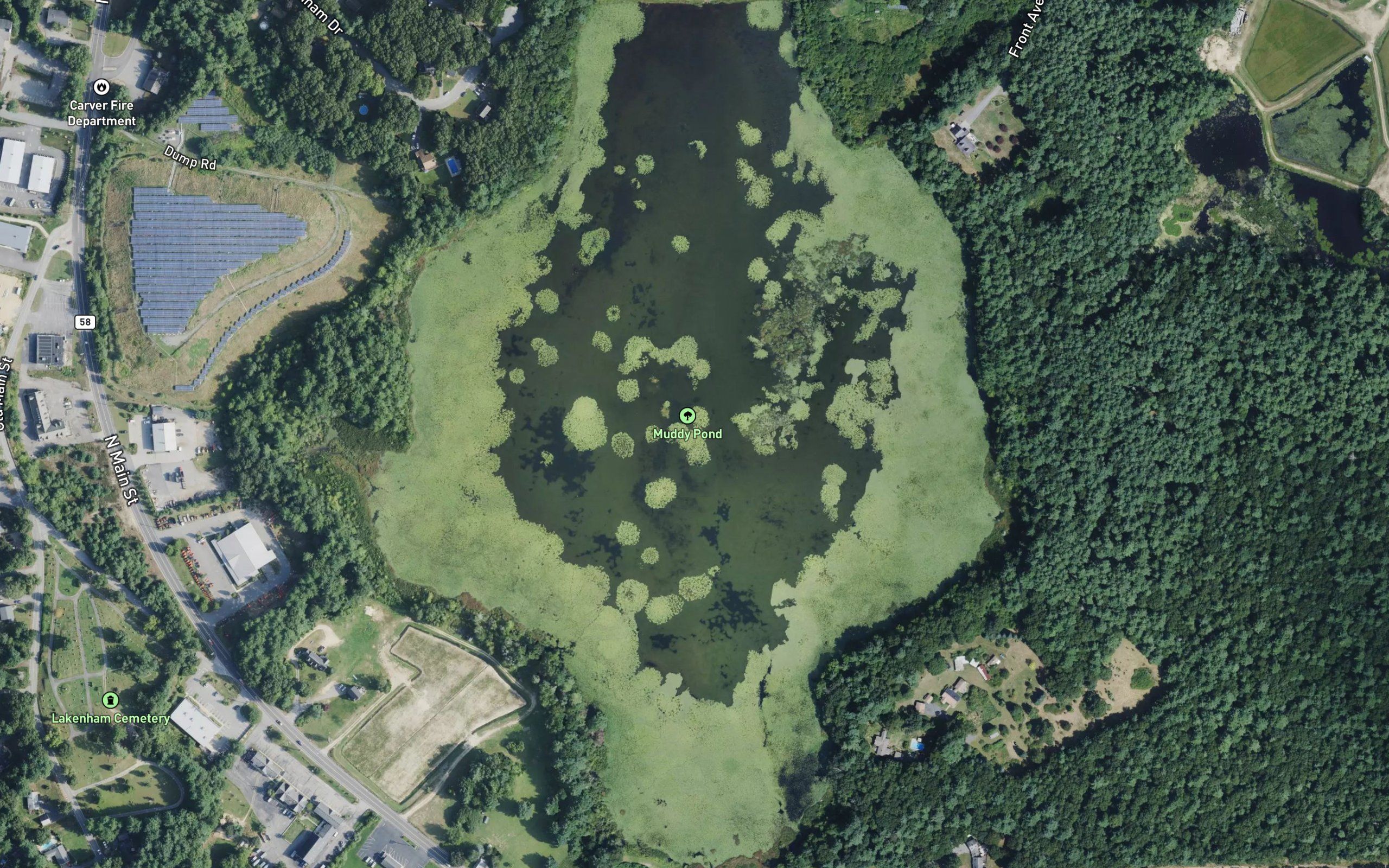 Muddy Pond