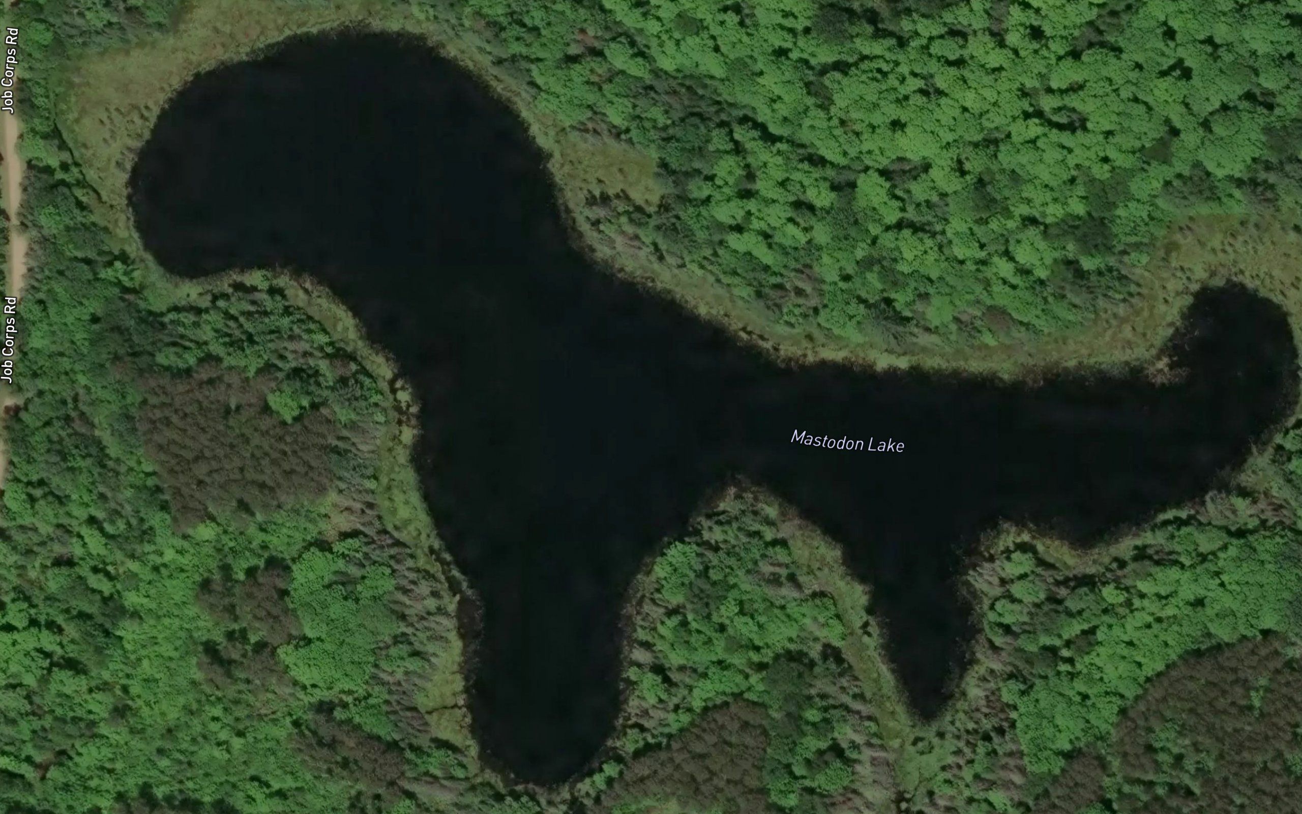 Mastodon Lake