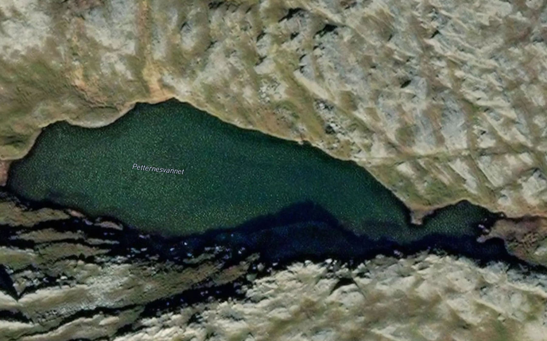 Satellite map of the Petternesvatnet