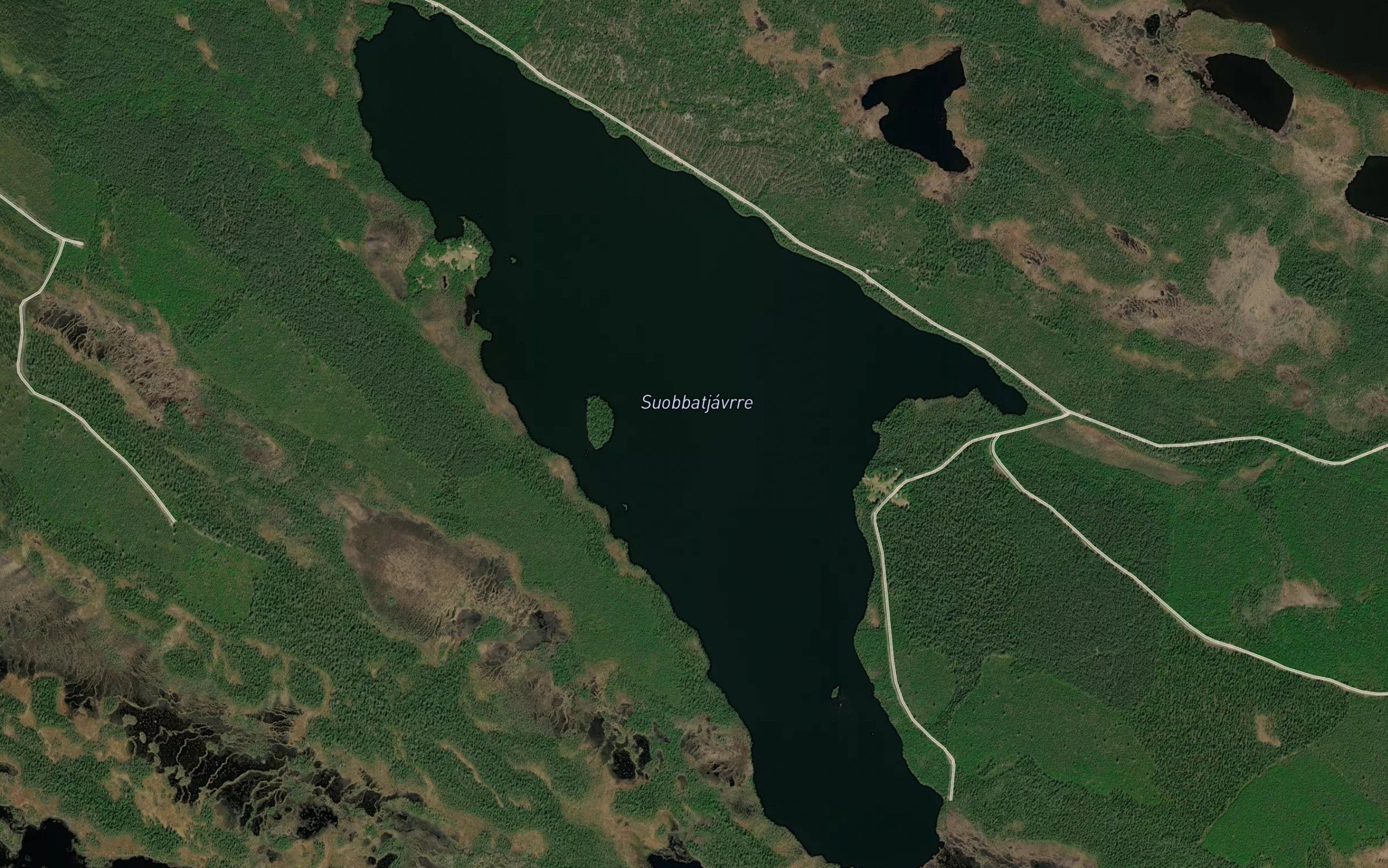 Suobbatjaure