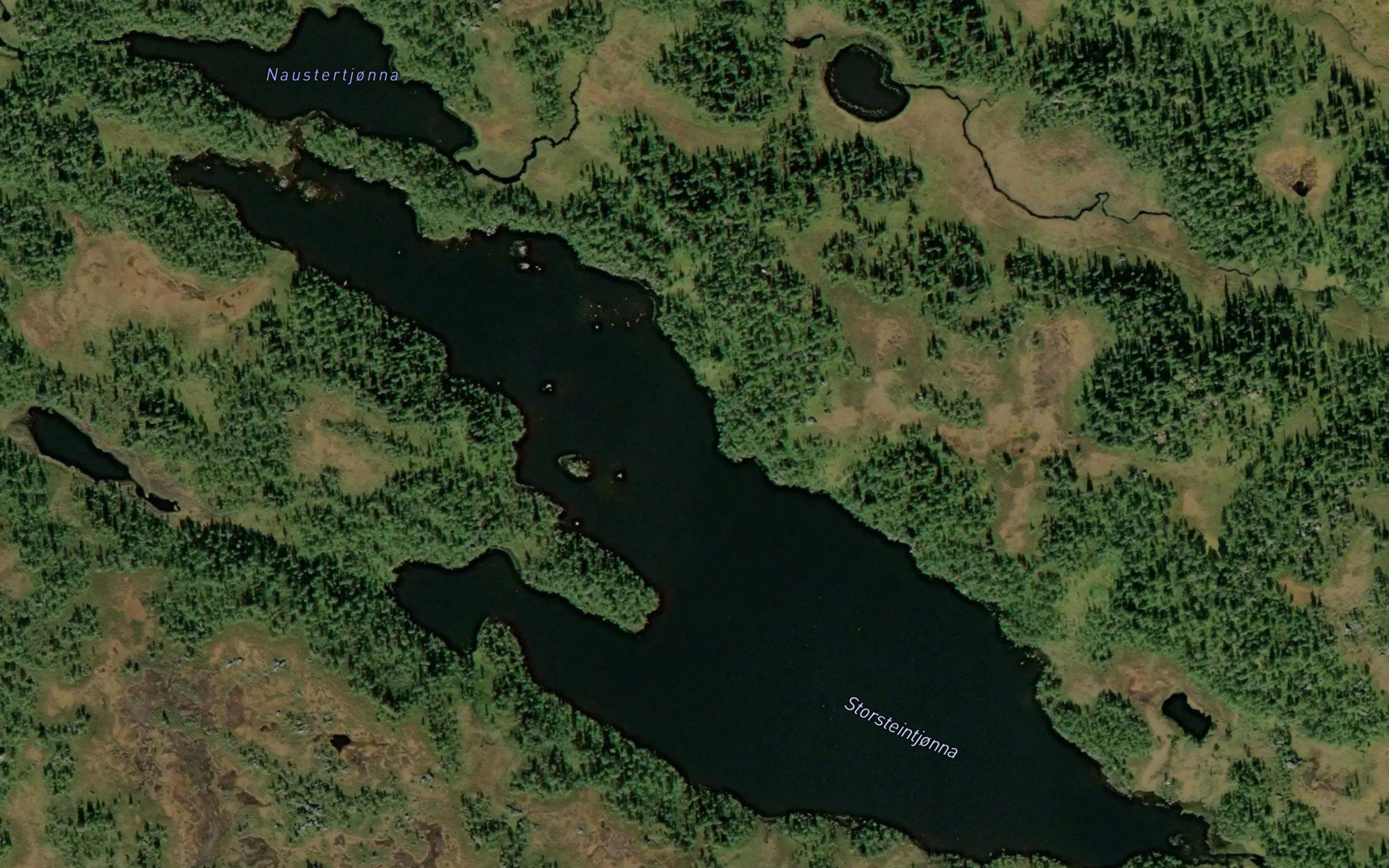 Storsteintjorna