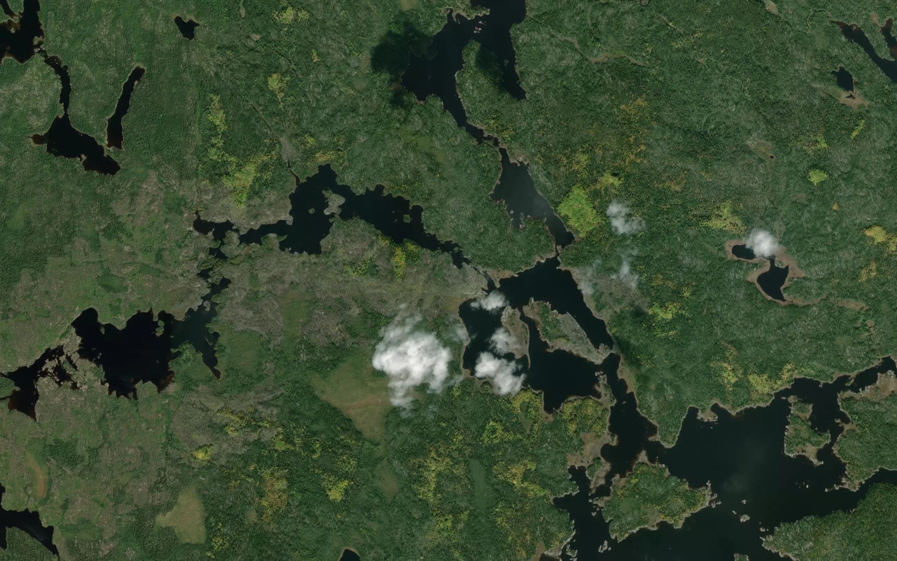Satellite map of the Grayson River