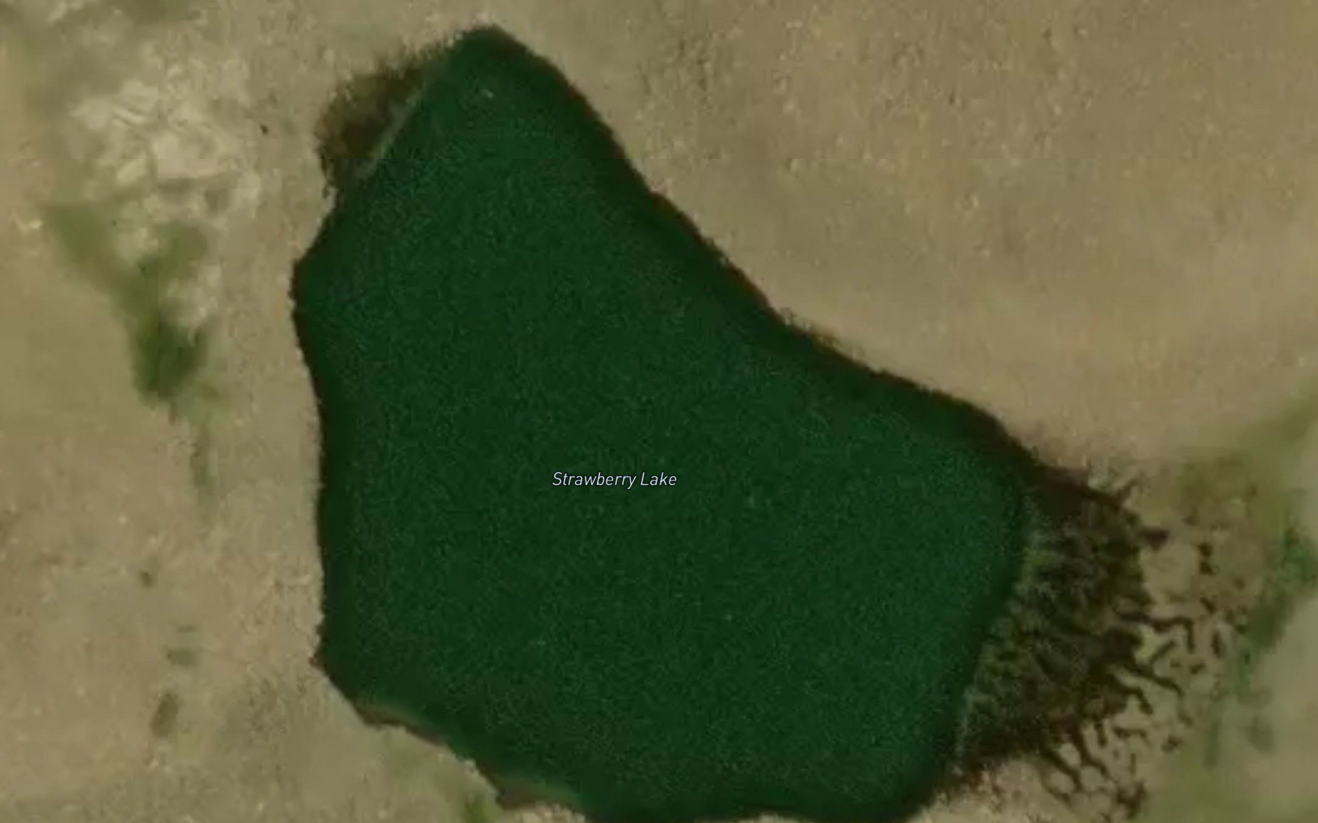 Strawberry Lake