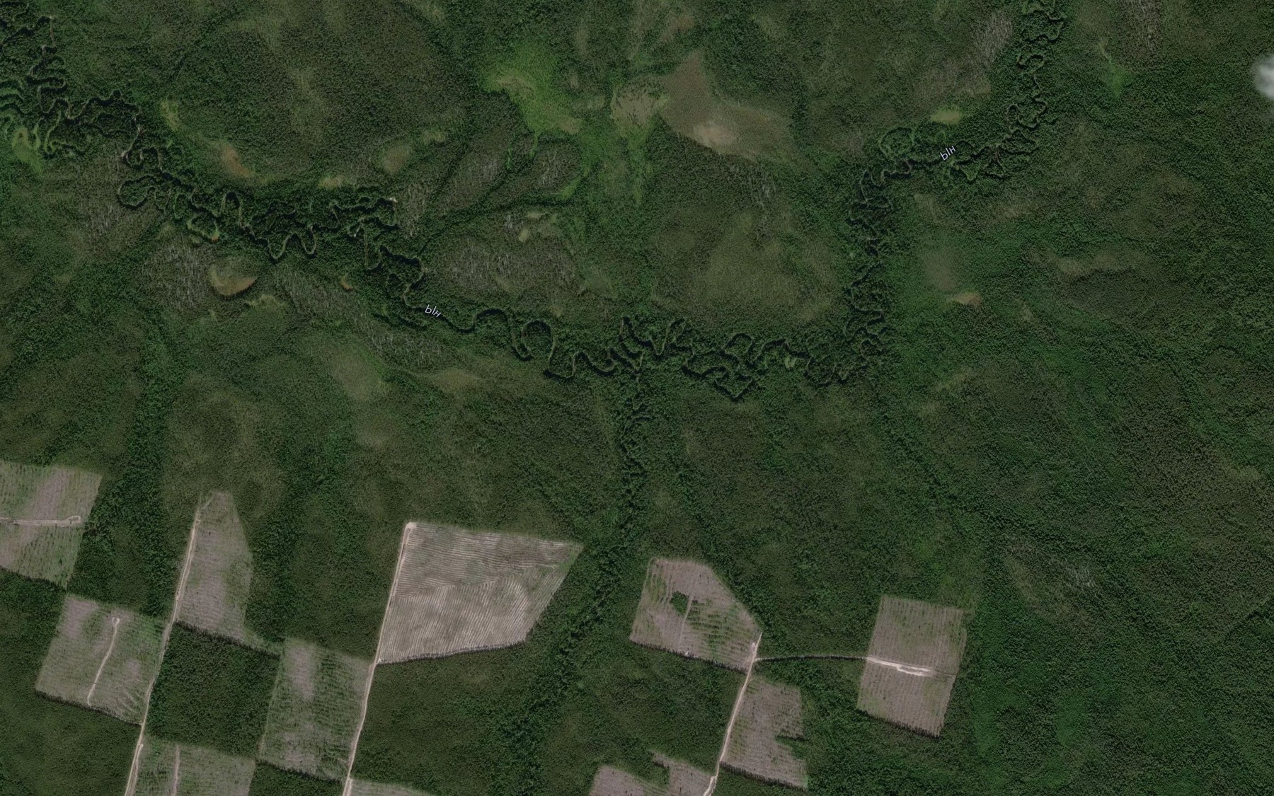 Satellite map of the Leptayel'