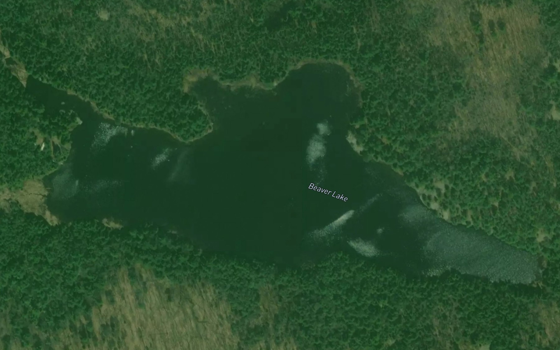 Satellite map of the Beaver Lake