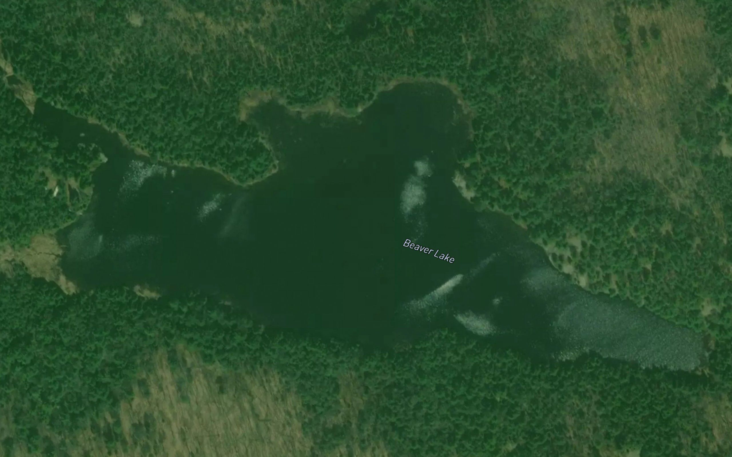 Beaver Lake