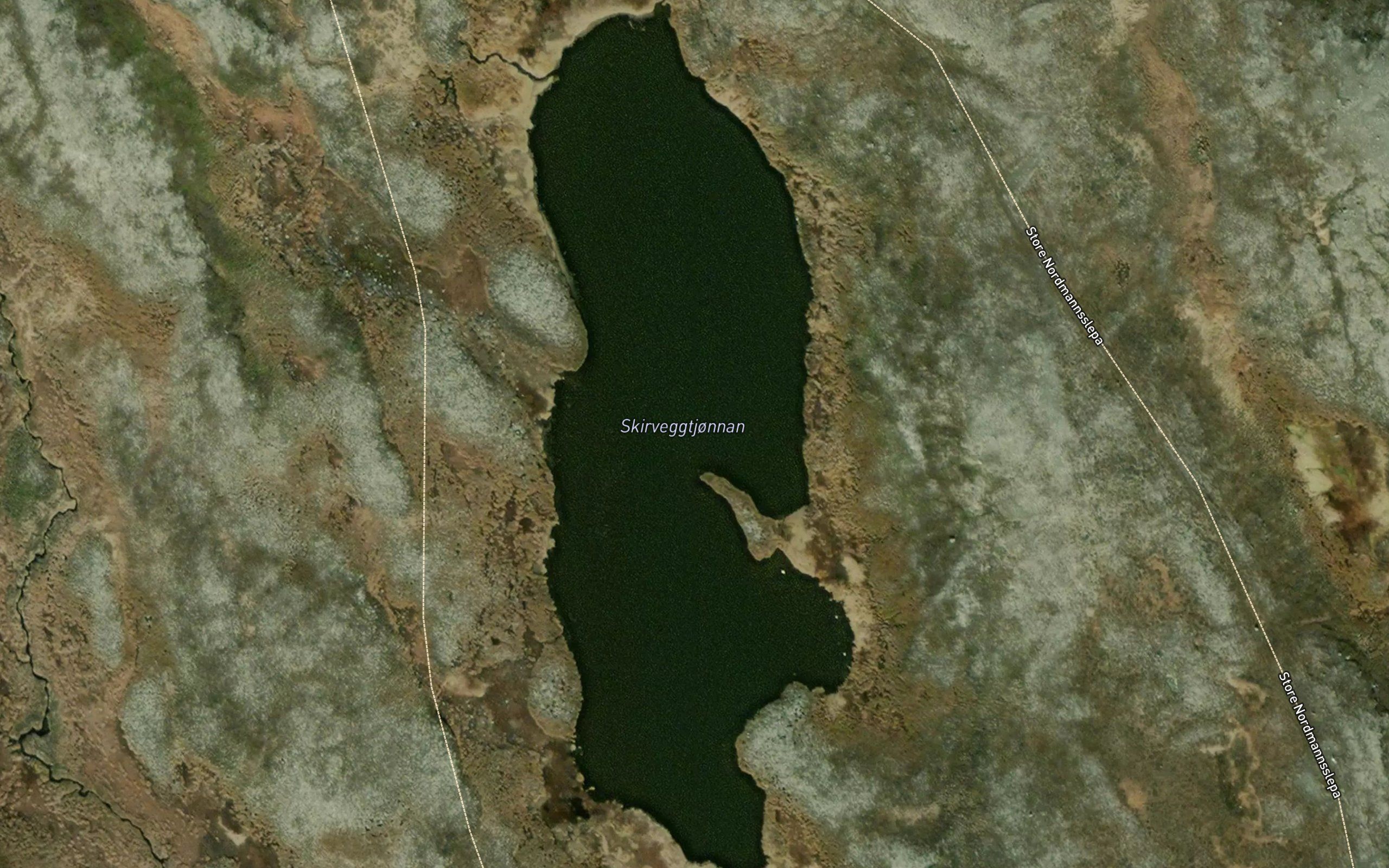 Skirveggtjornan