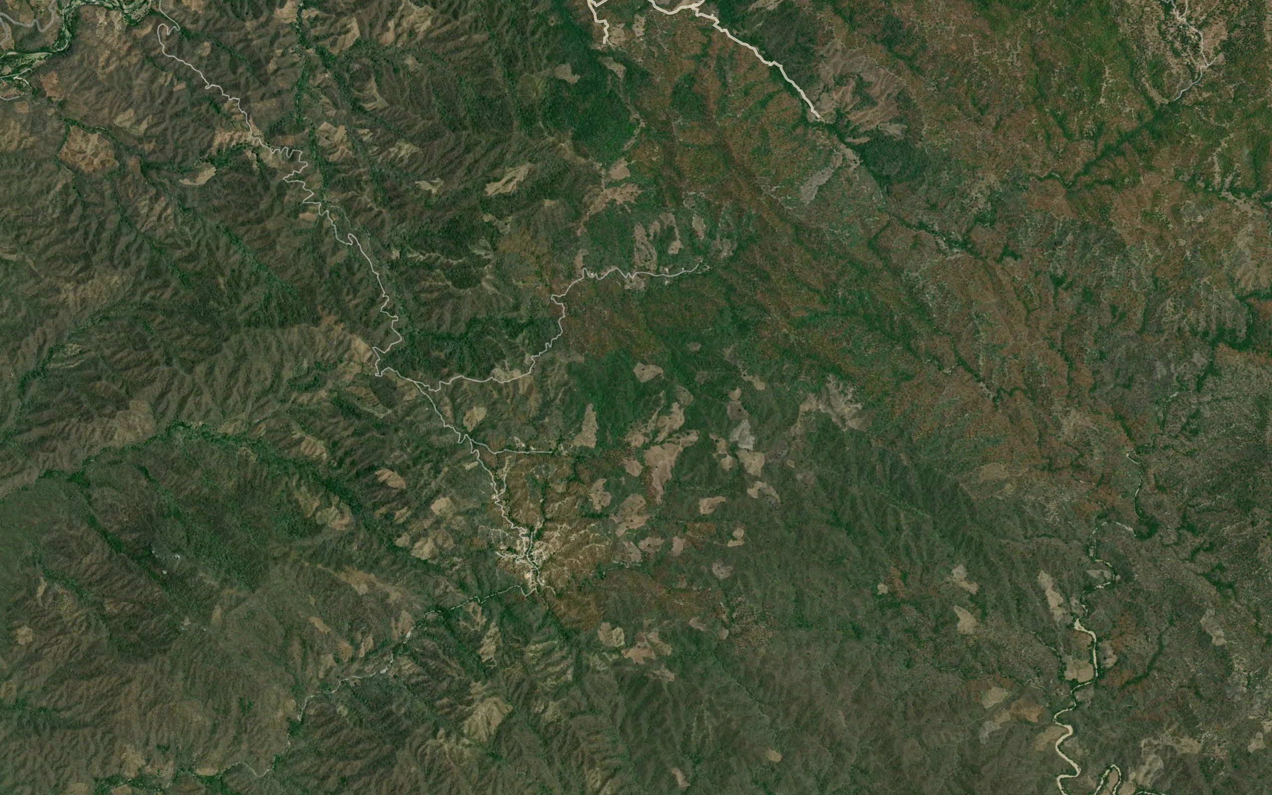 El Otate