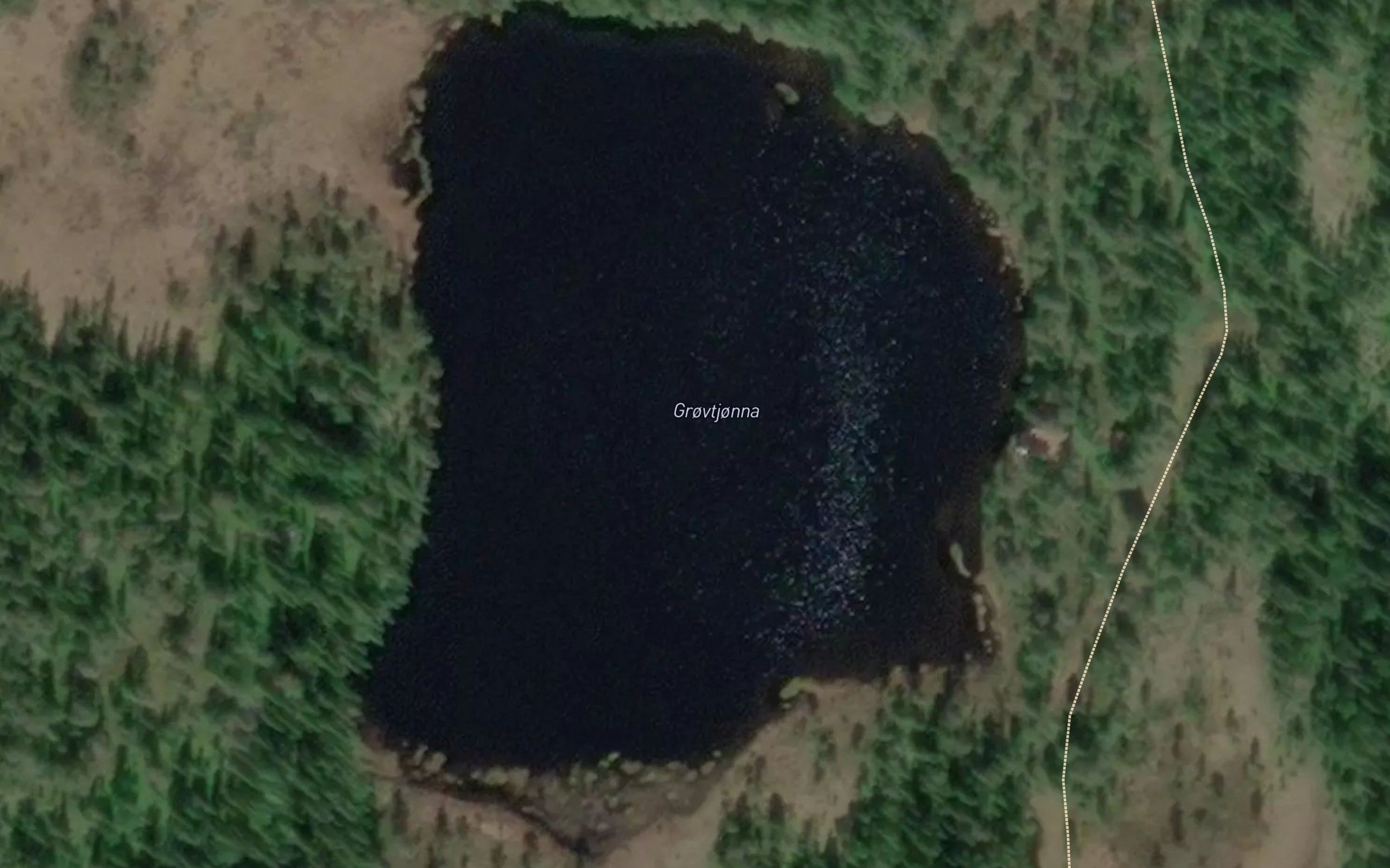 Grovtjorna