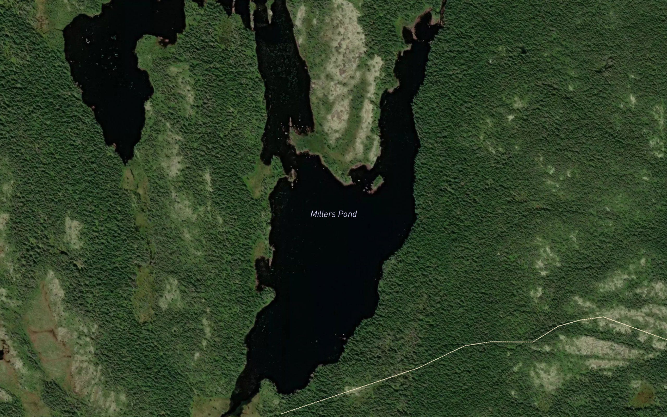 Millers Pond
