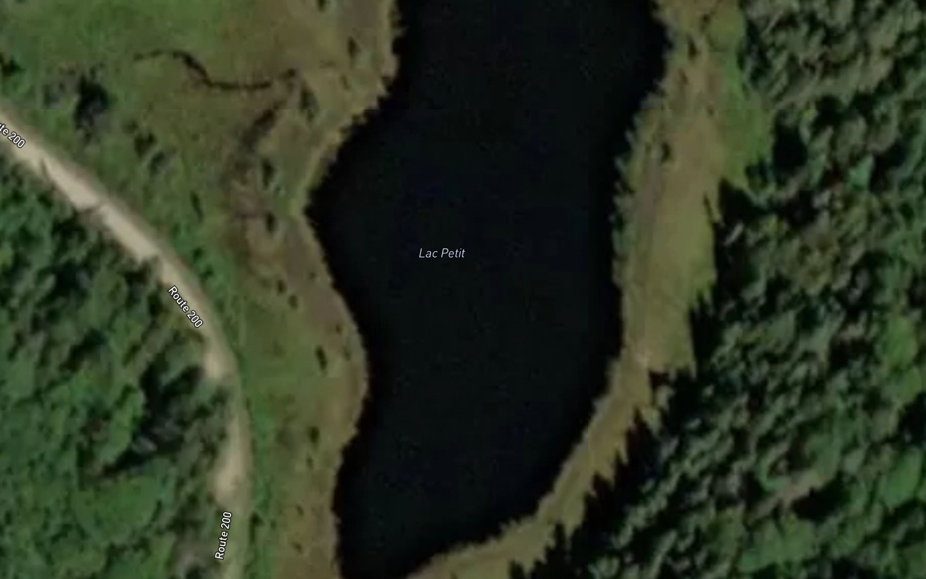 Satellite map of the Lac Petit