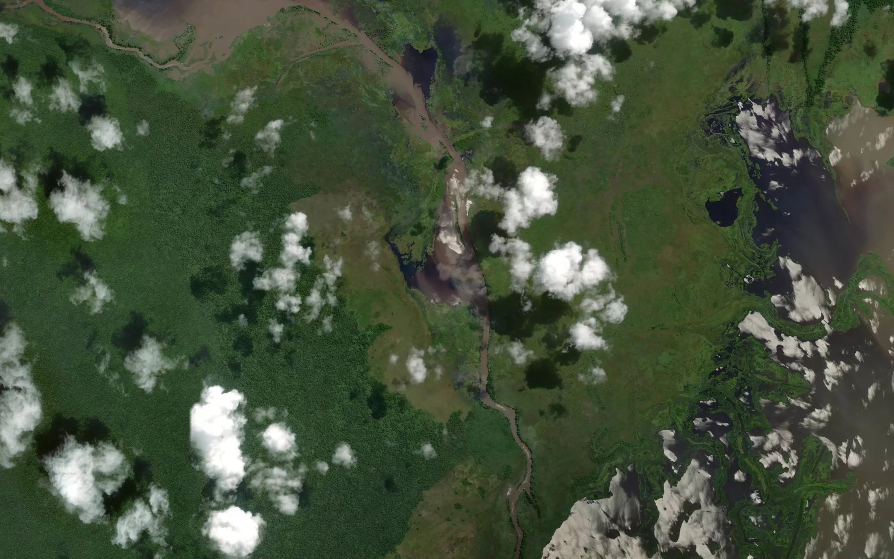 Satellite map of the Guaimis River