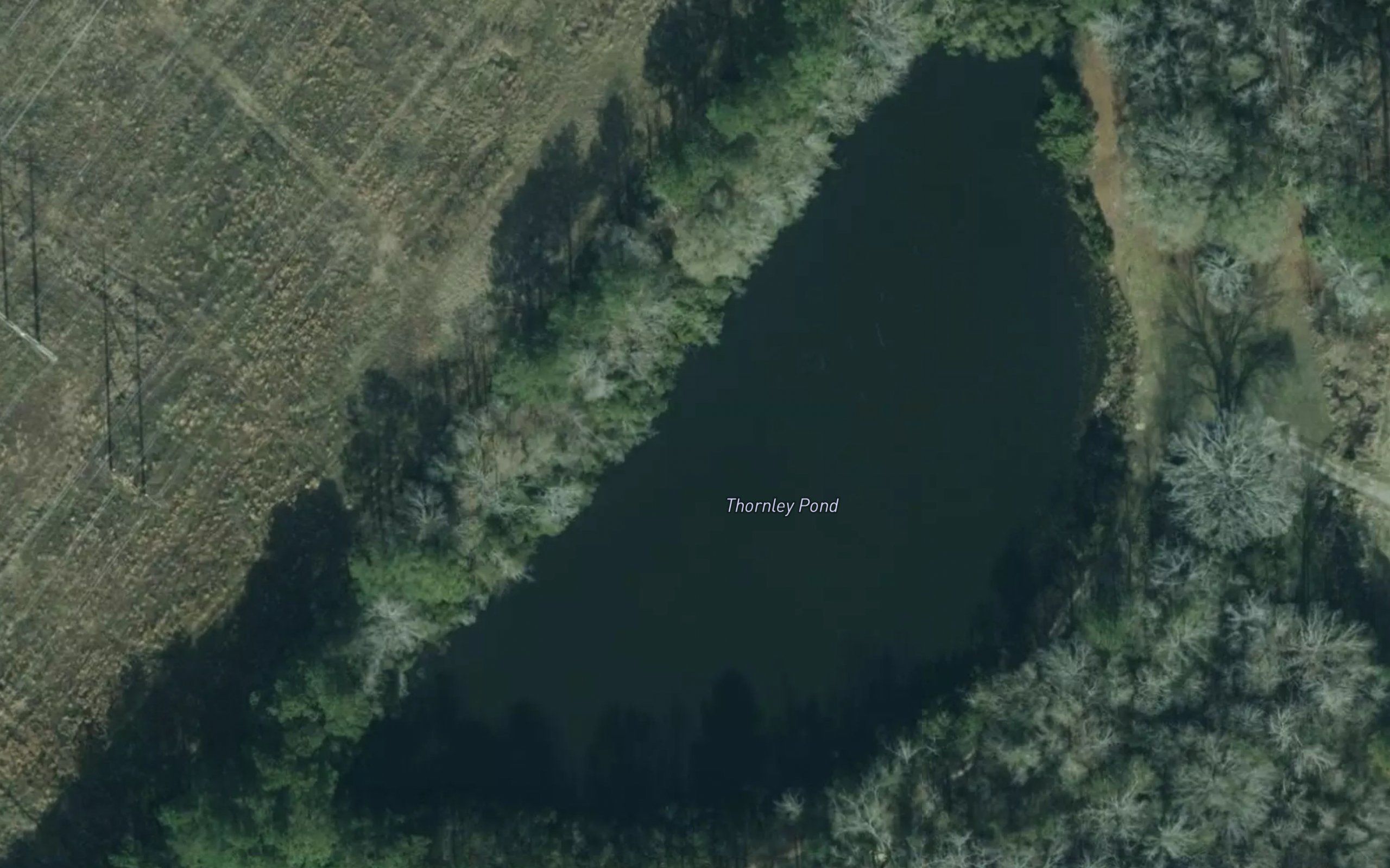 Thornley Pond